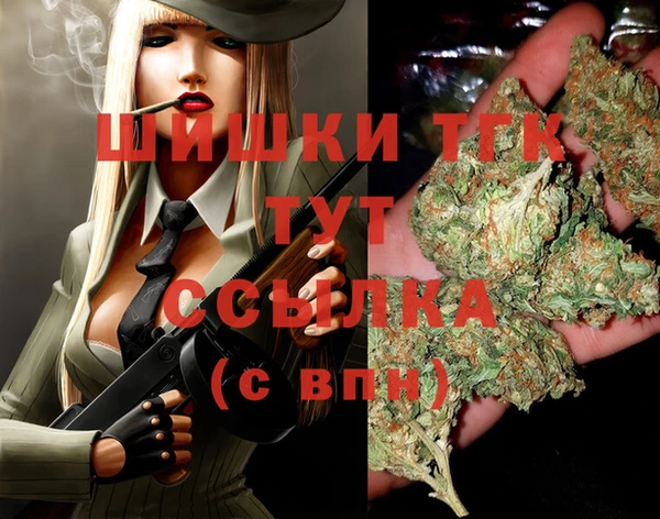 соль ск Бикин